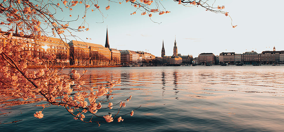 Binnenalster mit blühendem Baum