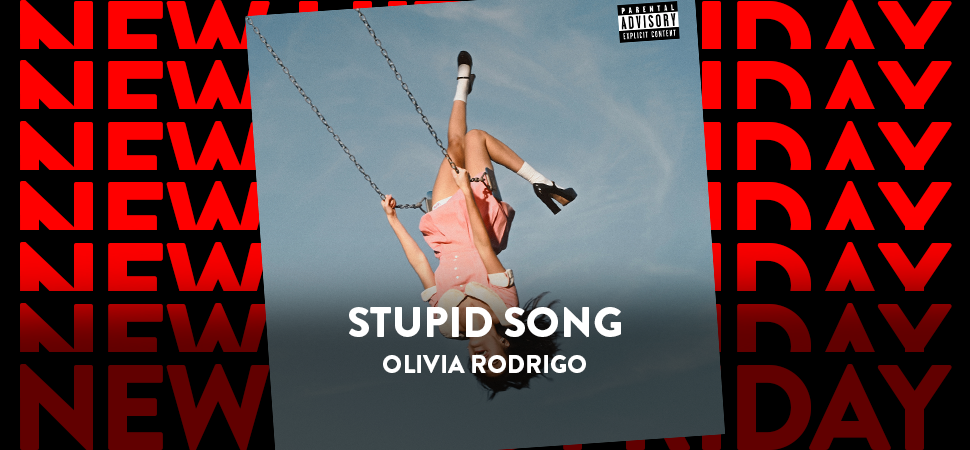 Stupid Song